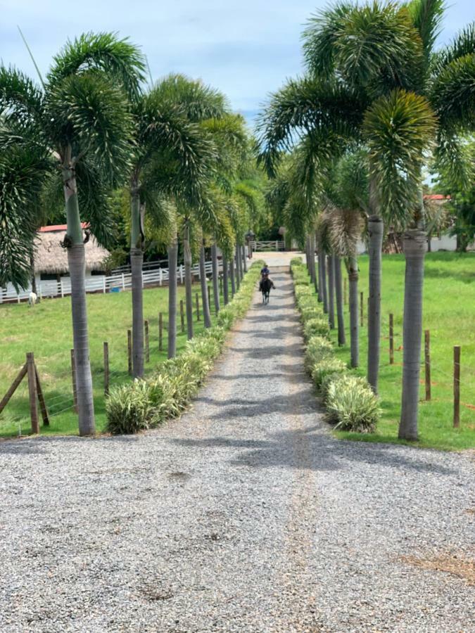 Boca Brava Paradise Bed and Breakfast Boca Chica Exterior foto